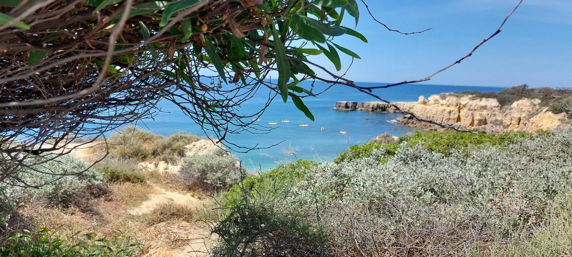 Baia Village - Praia Do Castelo - Gale - Albufeira Dış mekan fotoğraf